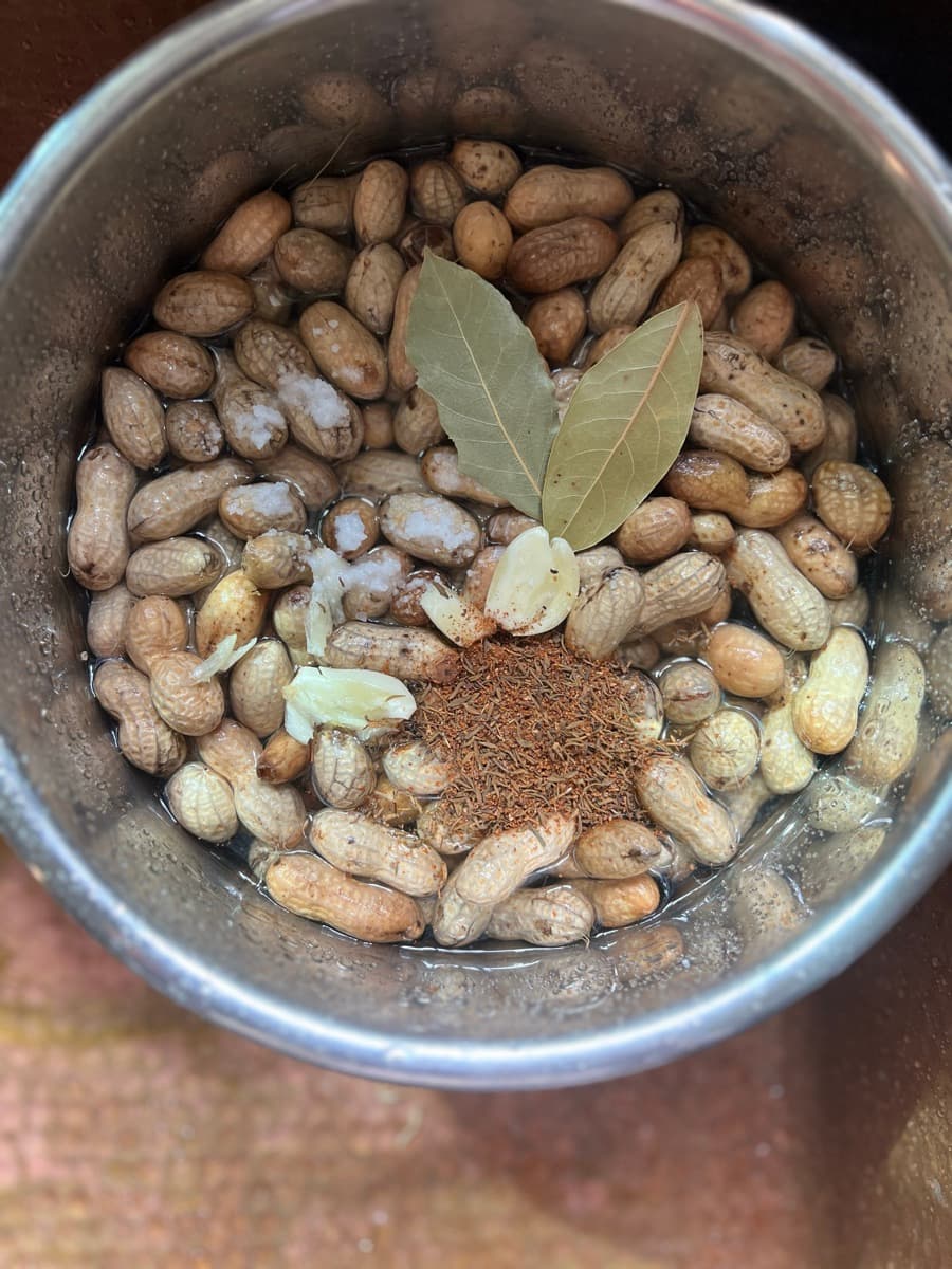 Instant Pot Boiled Green Peanuts, cooked by Erin Sojourner